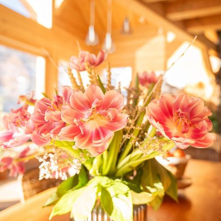 Chalet Ski Academie - Serre Chevalier Сен-Шафре Экстерьер фото